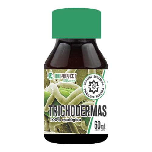 BioProyect Trichodermas
