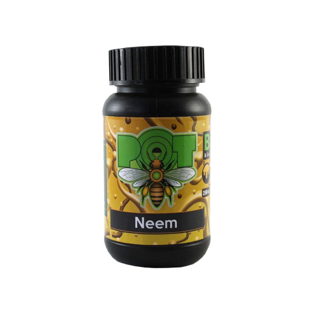 Santa Planta Pot Neem