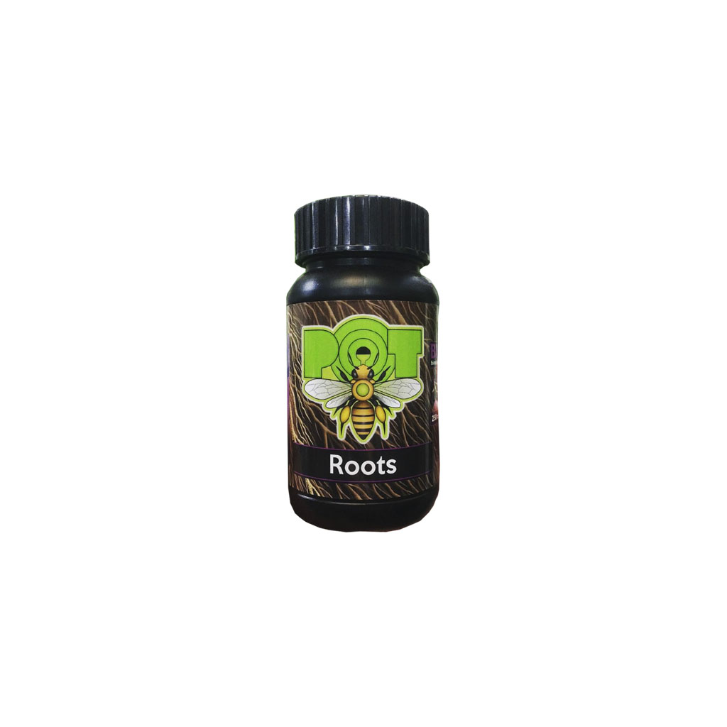 Santa Planta Pot Roots