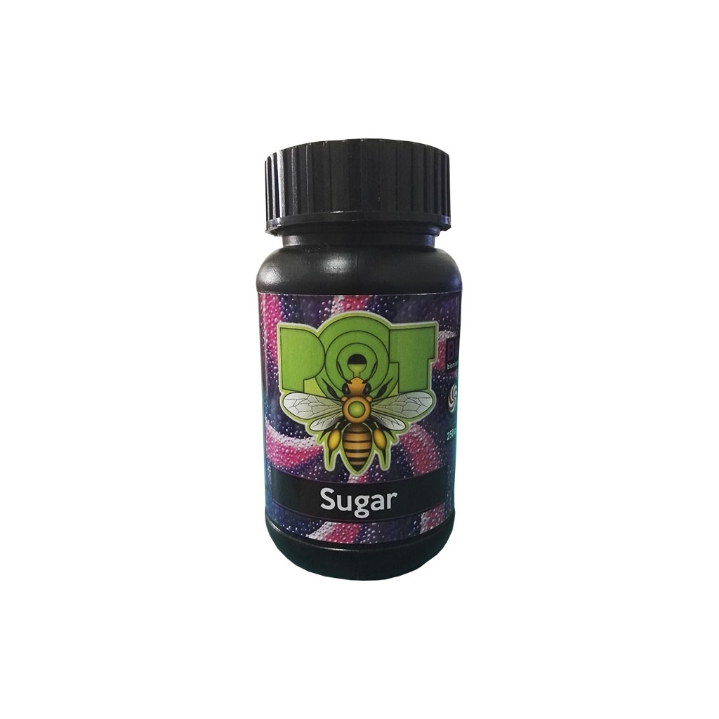 Santa Planta Pot Sugar